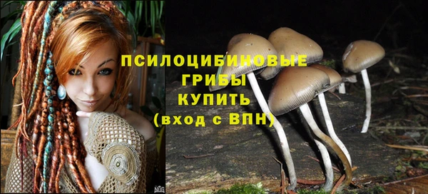 эйфоретик Балахна
